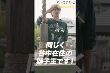 谷中在住の獅子王です！　#Shorts　#FOGDOG　#フォグドッグ