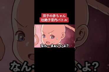 【アニメ】双子の赤ちゃん壮絶子宮バトル パート2
