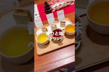 スタバのチャイ開発で有名なスミスティーメーカーを正直レビュー！ ​with ⁠@aotraveler