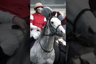 Gold Ship Edit #edit #goldship