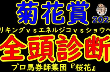 菊花賞2025一週前レース予想全頭診断！ダービー馬や皐月賞馬が不在のレースにて悲願のＧ１勝利を達成したい馬は？神戸新聞杯を勝ったエリキングか？青葉賞馬エネルジコか？京都新聞杯の勝ち馬ショウヘイか！？