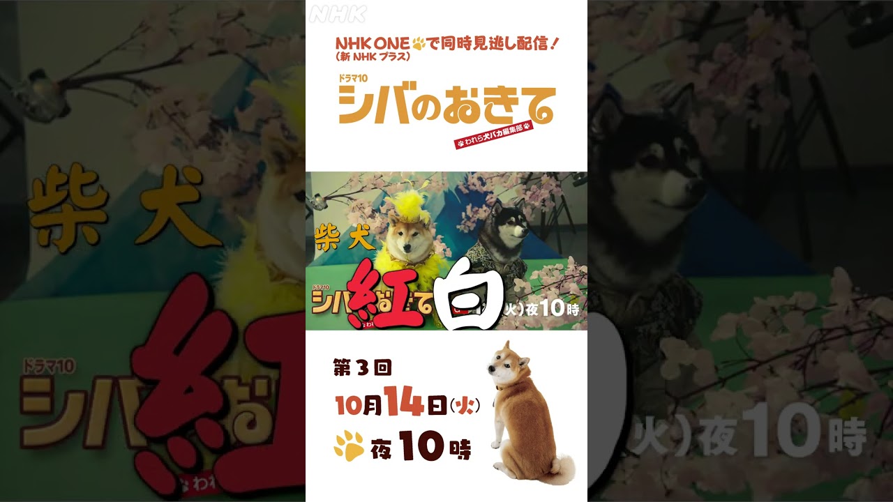 【ドラマ10 シバのおきて】大東駿介 飯豊まりえ 第3回 15秒PR | NHK | #shorts 【ドラマ10 シバのおきて】大東駿介 飯豊まりえ 第3回 15秒PR | NHK | #shorts