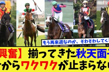 【競馬】【頂上決戦】天皇賞秋、大分面子が出揃ってきて最高にワクワクする件に対する反応集【競馬の反応集】