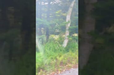 2025.09.19【シンシア】原田知世さんの曲。1997年7月24日発売。