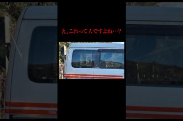 え、そうですよね・・・? #shorts え、そうですよね・・・? #shorts