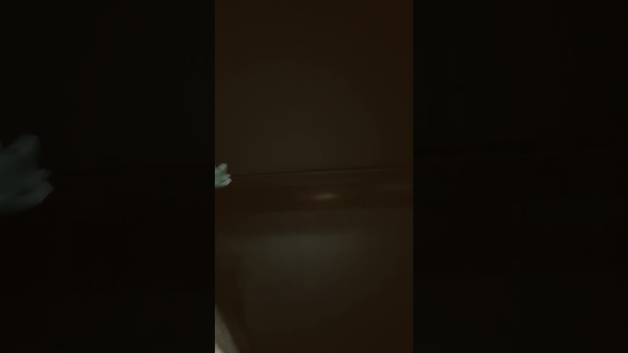 2025年10月18日 2025年10月18日