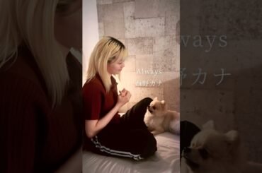 Always / 西野カナ - Covered by パクユナ