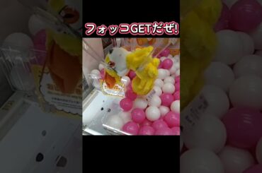 #クレーンゲーム #攻略 #確率無視 #ポケモン #フォッコ  クレーンゲーム 攻略ポケモン  TikTok