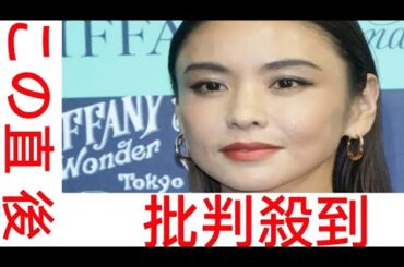 「もう販売して」滝沢眞規子の手作りソースカツ丼弁当に「お店屋さんのお弁当にしか見えません」と反響