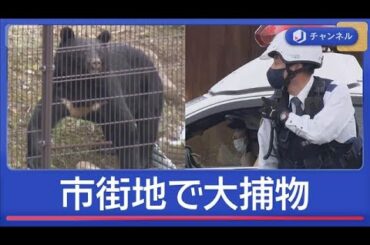 カメラの前で…市街地クマ大捕物の一部始終 被害続発　都内でも目撃【スーパーJチャンネル】(2025年10月20日)