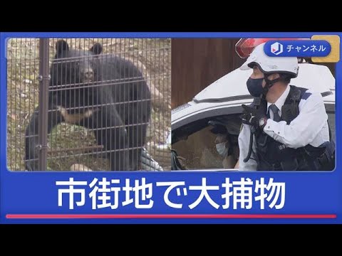 カメラの前で…市街地クマ大捕物の一部始終 被害続発 都内でも目撃【スーパーJチャンネル】(2025年10月20日) カメラの前で…市街地クマ大捕物の一部始終 被害続発 都内でも目撃【スーパーJチャンネル】(2025年10月20日)
