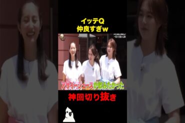 イッテQのメンバー全員仲良すぎ#おもしろ #イッテq #shorts