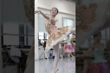 金平糖：プリンシパル山田佳歩/Kaho Yamada #ballet #dance #nbaバレエ団 #shorts