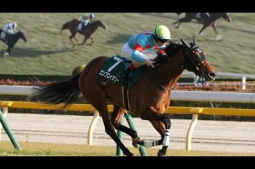 【秋華賞】桜花賞馬エンブロイダリーが2冠！牝馬3冠の最終戦を制した　京都騒然…カムニャック沈み16着