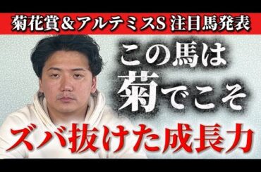 【菊花賞2025】遂にあの馬がポテンシャルを発揮できる舞台になりました