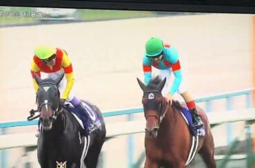 【競馬実況動画2025】第30回秋華賞 エンブロイダリー(クリストフ・ルメール)