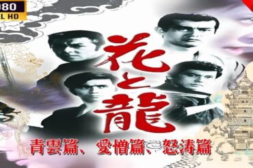 「ヤクザ映画」 花と龍・青雲篇、愛憎篇、怒涛篇 🎬⚔️スペシャルエディション🅷🅾🆃🔥 邦画アクション FullHD