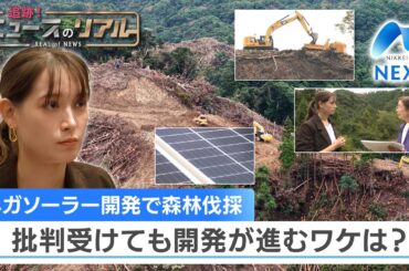 メガソーラー開発で森林伐採 批判受けても開発進むワケは？【NIKKEI NEWS NEXT】