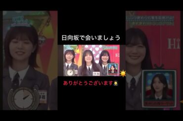 日向坂で会いましょう　こさかな　言われたい言葉 #shorts