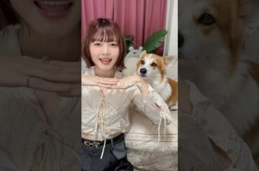 Darling👗 #歌ってみた #西野カナ #コーギーのいる暮らし