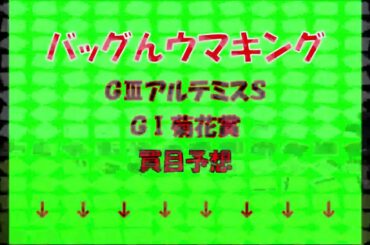 バッグんウマキング　プロ馬券師競馬予想　GⅢアルテミスＳ・GⅠ菊花賞　買い目予想　説明欄に関連動画サイトURL有り　クリックお願いします。