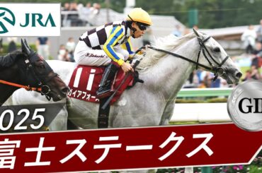 2025年 富士ステークス（GⅡ） | ガイアフォース  | JRA公式