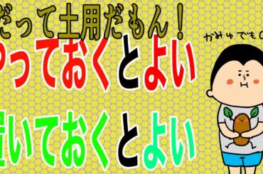 【秋の土用】断捨離のポイント&あると良いもの！/ 100日マラソン続〜1655日目〜