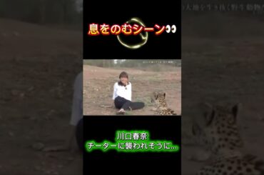 【㊗300万回再生🎉】川口春奈・カメラが捉えた極限のシーン❗