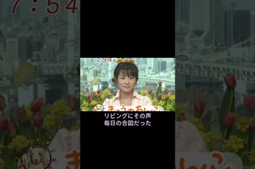 【2004年】高島彩。あの朝、テレビはもっと明るかった。 【2004年】高島彩。あの朝、テレビはもっと明るかった。