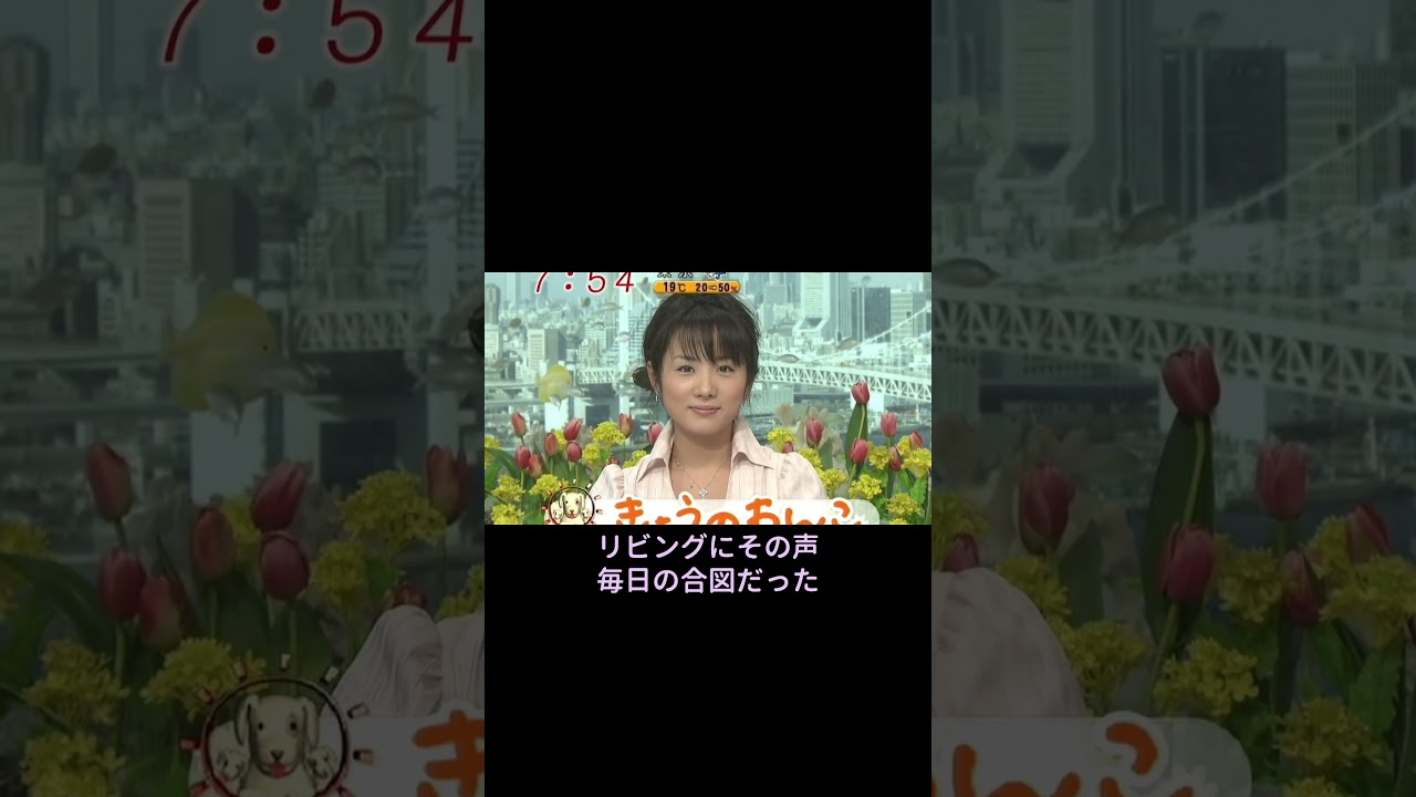 【2004年】高島彩。あの朝、テレビはもっと明るかった。 【2004年】高島彩。あの朝、テレビはもっと明るかった。