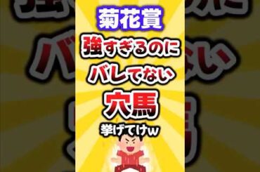 【菊花賞】絶対買いたい穴馬挙げてけw #菊花賞 #菊花賞2025 #競馬 #競馬予想 #穴馬予想