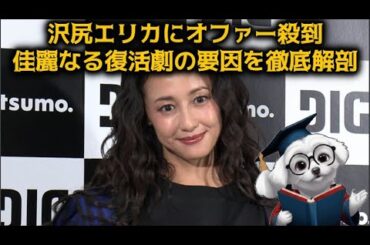 【完全復活エリカ様】スキャンダル女優の沢尻エリカにオファー殺到、不死鳥のような佳麗なる復活劇の要因を徹底解剖