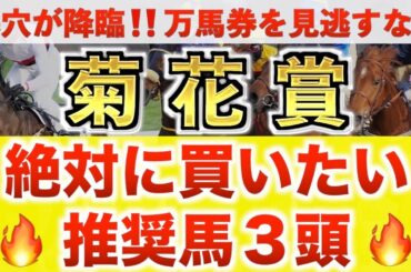 【菊花賞2025 予想】エネルジコ過去最高のデキ？プロが"全頭診断"から導く絶好の3頭！