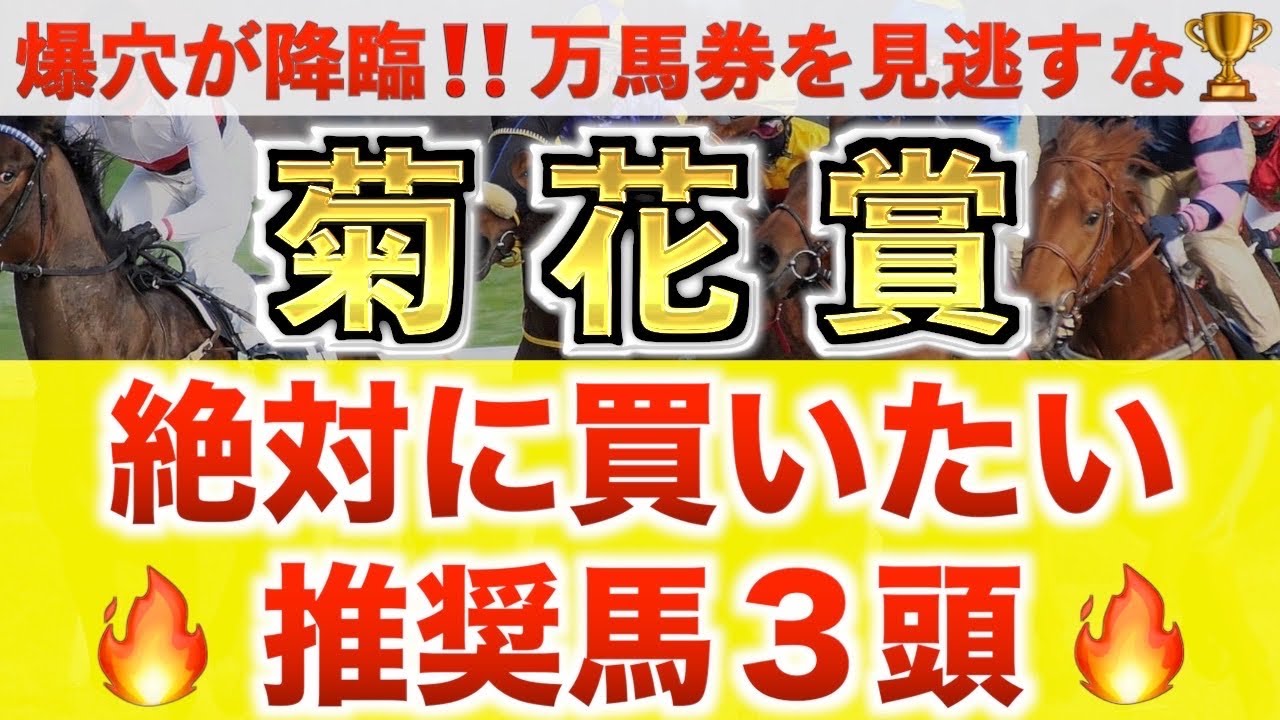 【菊花賞2025 予想】エネルジコ過去最高のデキ?プロが”全頭診断”から導く絶好の3頭! 【菊花賞2025 予想】エネルジコ過去最高のデキ?プロが"全頭診断"から導く絶好の3頭!