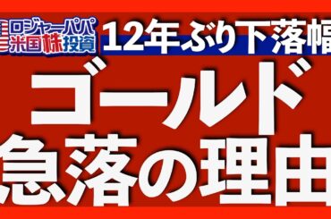 暴落の始まり？金が2013年以来で最大下落！｜1000万円の金ETF投資実績を公開｜今も変わらない金の上昇理由｜下落は待望の買い場＝スポット買い機会｜金の現物に投資する？【金投資】2025.10.22