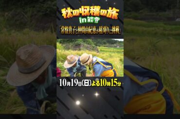 🚩今夜放送／10月19日(日)よる10時15分〜 #日曜日の初耳学 #常盤貴子 #仲間由紀恵 #石川県 #石川県能登 #稲刈り #カニリレー #林修 #大政絢 #中島健人 #澤部佑