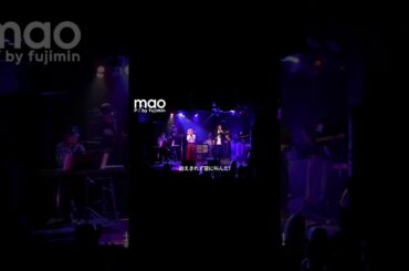 #maopbyfujimin #maomin #ibelieve #華原朋美 #japanesemusic #jpop #平成ソング #小室ファミリー #shorts #shortvideo