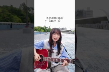 この曲知ってる？#miwa #ヒカリへ #歌ってみた  #リクエスト募集中#cover  #シンガーソングライター #弾き語り