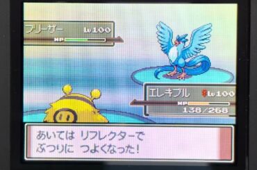 準伝説２体入りのインチキ銀ネジキ討伐動画