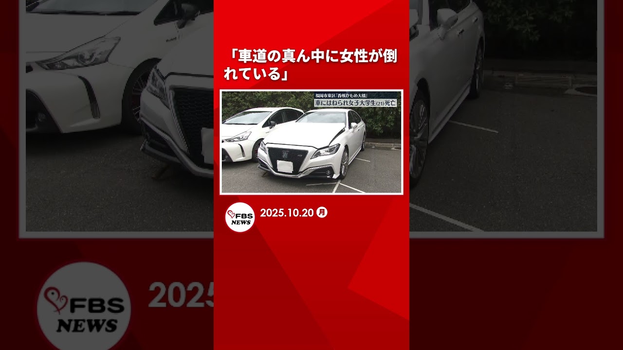 「車道の真ん中に女性が倒れている」香椎かもめ大橋で大学生の女性が死亡 通報者の車のバンパーに接触痕 福岡 #shorts 「車道の真ん中に女性が倒れている」香椎かもめ大橋で大学生の女性が死亡 通報者の車のバンパーに接触痕 福岡 #shorts
