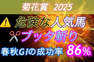 【菊花賞 2025 予想】　⚠️危険な人気馬のブッタ斬り✂️