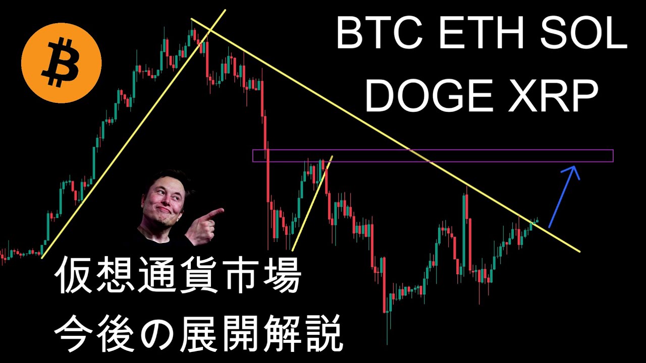 Bitcoinなど仮想通貨市場の今後の展開解説。暗号資産(仮想通貨)【BTC、ETH、SOL、DOGE、XRP】 Bitcoinなど仮想通貨市場の今後の展開解説。暗号資産(仮想通貨)【BTC、ETH、SOL、DOGE、XRP】