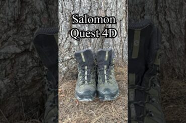 サロモン クエスト 4D ブーツのレビューとおすすめ サロモン クエスト 4D ブーツのレビューとおすすめ