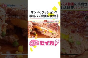 #井上清華 アナが #味変ハンバーグ #マンドゥクッション など最新バズ動画に挑戦！ #めざましテレビ #やってセイカ