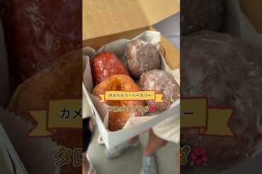 【ハワイ】どこでもプライベートツアー・8月14日H様　#カワイイハワイツアー #ハワイツアー #ハワイ #カイルア #ハワイチャーターツアー #ハレイワ #カメハメハベーカリー #アウラニディズニー