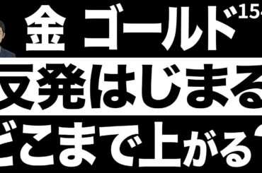 金価格2025年の熱狂：強気相場か、バブルか？【金】【10月26日】