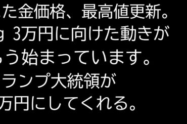 来年はトランプ大統領が金価格を3万円に押し上げるかも