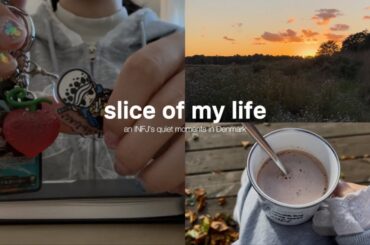 INFJのひとり時間🕯️☁️ ﾃﾞﾝﾏｰｸ生活2ヶ月目🇩🇰 【vlog】