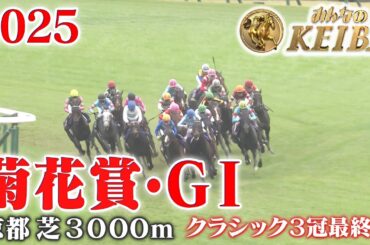 【菊花賞・GⅠ】菊花賞 京都 芝 3000m 2025 レース  【みんなのKEIBA】