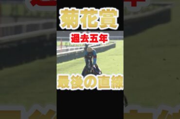 【菊花賞】過去5年最後の直線 #競馬 #菊花賞